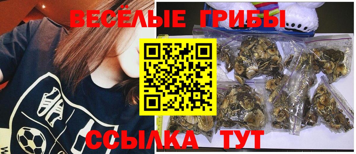 Галлюциногенные грибы Magic Shrooms Дедовск