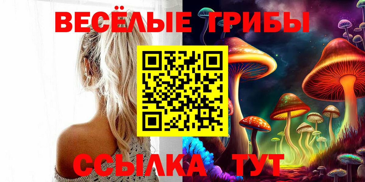 Галлюциногенные грибы мицелий  Галлюциногенные грибы мухоморы  Дедовск  Вход с VPN 